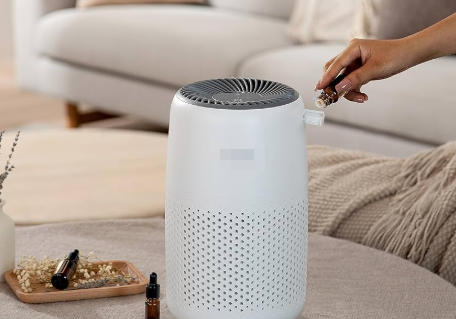 Are Levoit Filters Reusable Are Levoit Filters Reusable