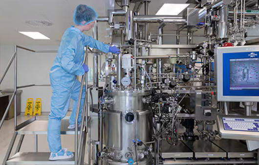 Pharmaceutical Production Validation Pharmaceutical Production Validation