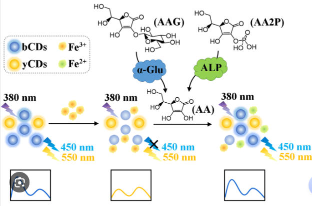Formulation Of Ascorbic Acid
