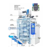 Multi Lane Powder Packing Machine
