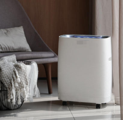 HEPA Air Purifier Filter Cleaning