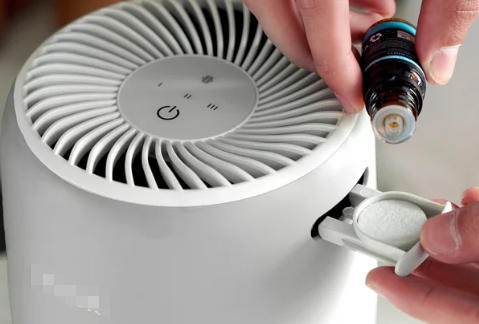 Levoit Filter Replacement Vs Cleaning Levoit Filter Replacement Vs Cleaning