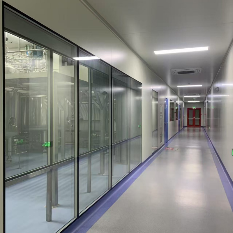 Pharmaceutical Clean Room (2)