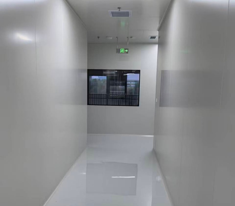 Pharmaceutical Clean Room (6)