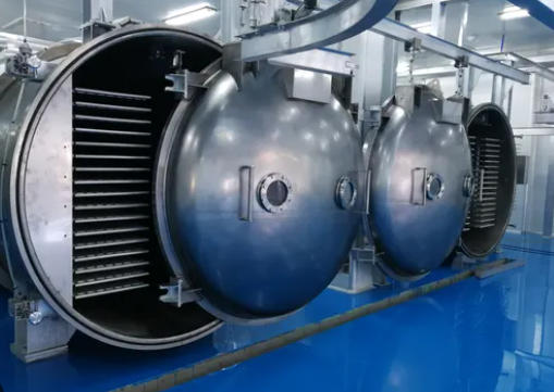 Vacuum Freeze Dryers