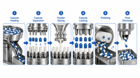 //iirorwxhimlqlm5m.ldycdn.com/cloud/pmBplKorloSRplnrqooqkp/Capsule-Filling-Process-Flow.png